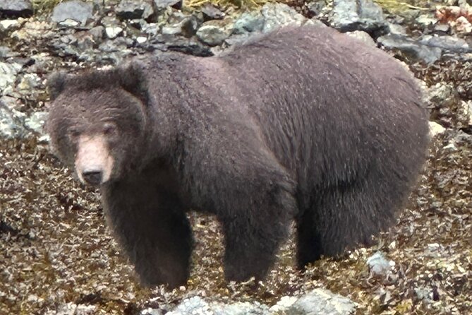 Small Group Boat Tour of Sitka - Customer Reviews and Feedback