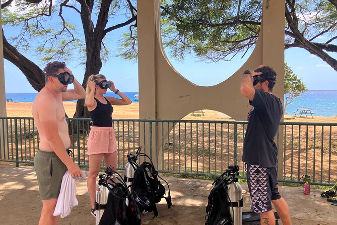 Small Group Discover Scuba Diving From Electric Beach With Photos - Customer Testimonials