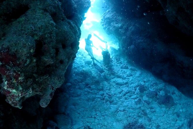 Small Group Diving Activity in Miyakojima - Participant Expectations and Requirements