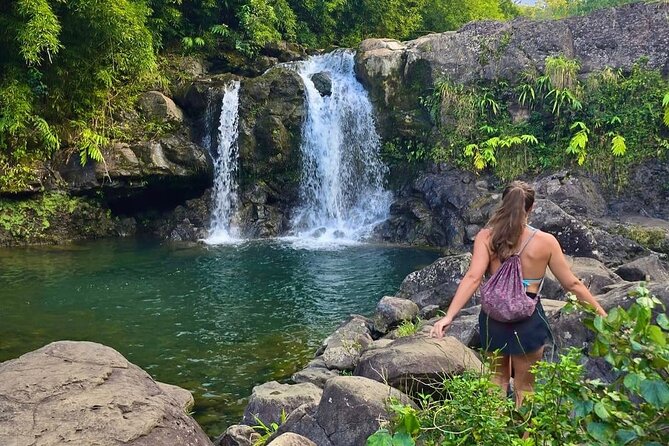 Small Group Full Day Road to Hana Adventure - Experience Highlights