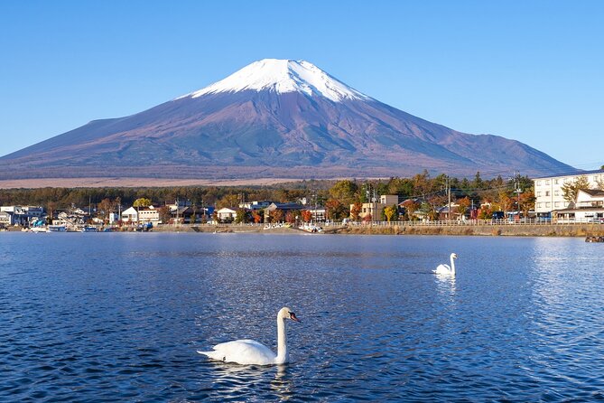 Small Group Mt. Fuji, Sengen Shrine and Lake Kawaguchi Tour - Booking Information
