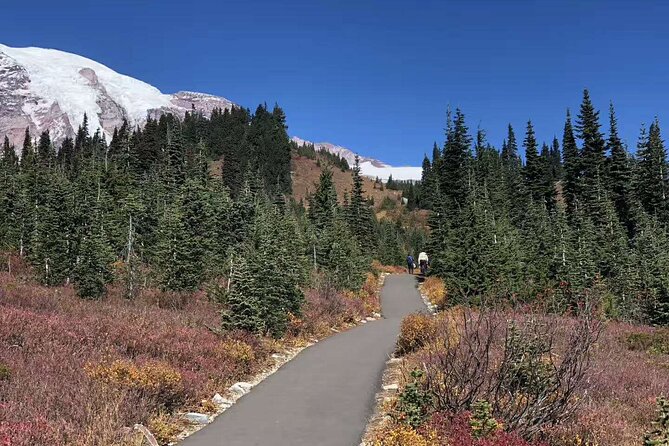 Small Group Mt Rainier National Park Day Tour From Seattle 2CANGO - Cancellation Policy