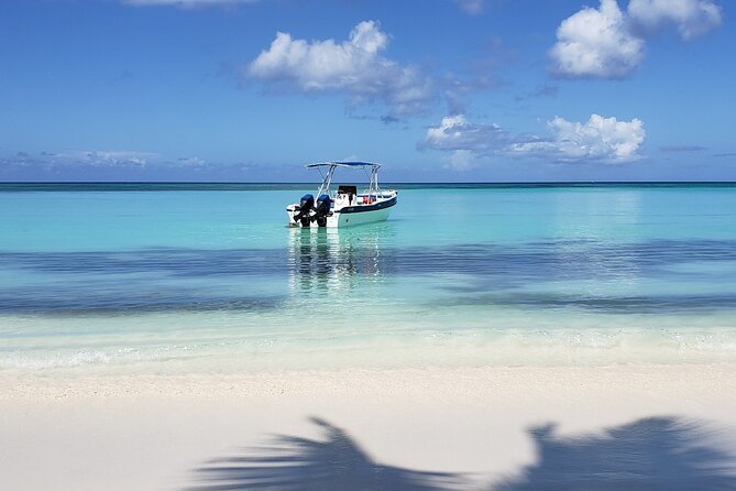 Small Group: Saona Island Full Day Tour - Traveler Feedback and Ratings