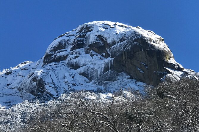 Small Group Sequoia Tour From Wuksachi Lodge With Lunch - Meeting Point and Pickup Details