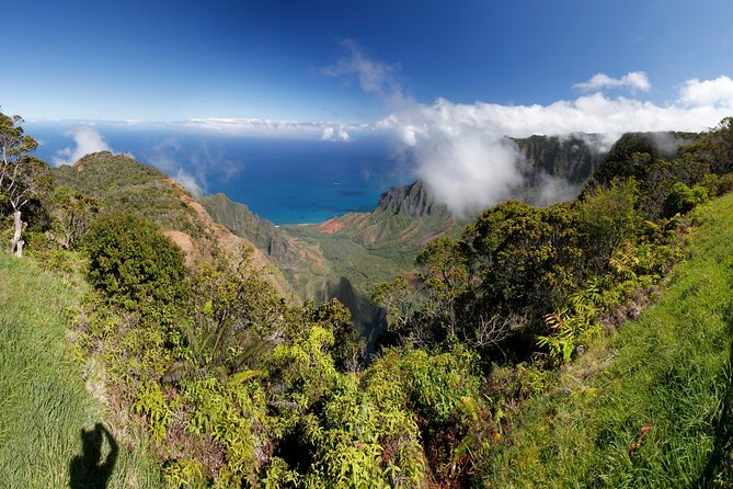 Small-Group Waimea Canyon Adventure Tour & Beyond With Lunch - Tour Experience Highlights