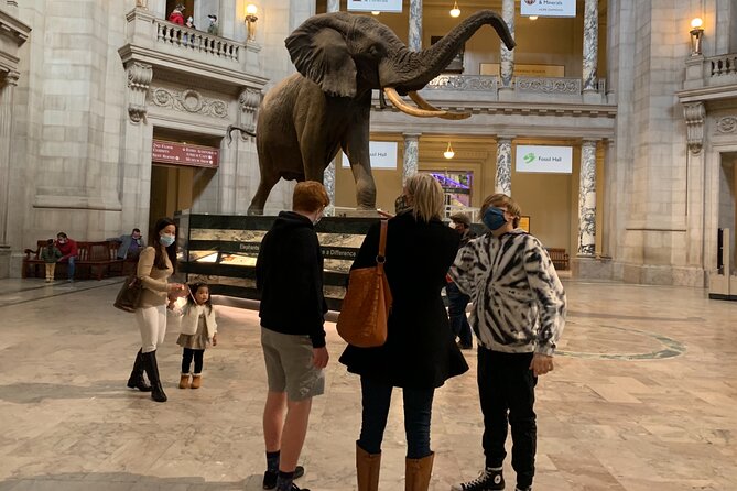 Smithsonian National Museum of Natural History With Guided Tour - Customer Feedback and Insights