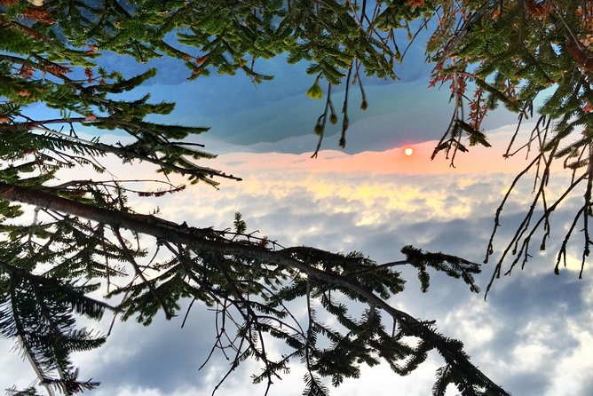 Smoky Mountain Guided Scenic High Van Tour - Pricing Information