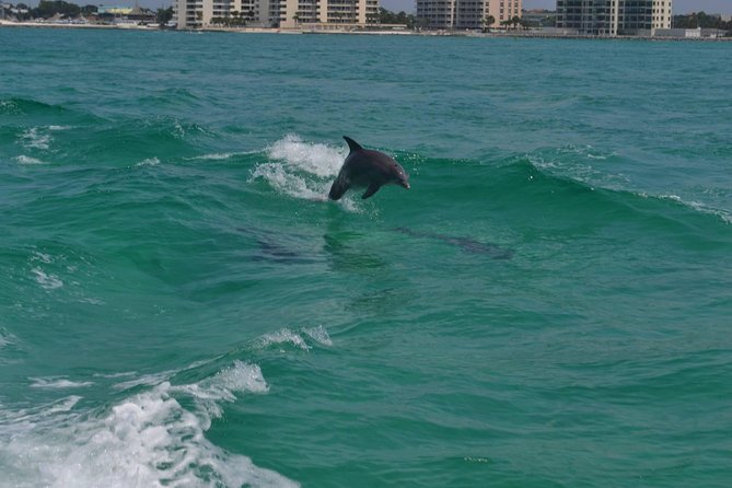 Snorkeling, Shelling & Eco Excursion - Convenient Meeting Point and Parking Options