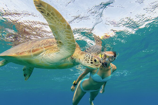 Snorkeling With Turtle/Water Scooter/Paddleboard Adventures Oahu - Tips for an Unforgettable Adventure