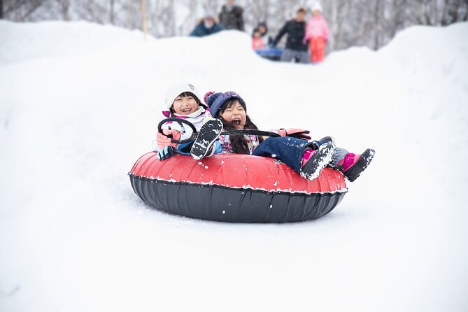 Snow Venture in Hitsujigaoka Observation Hill - Inclusions and Pricing