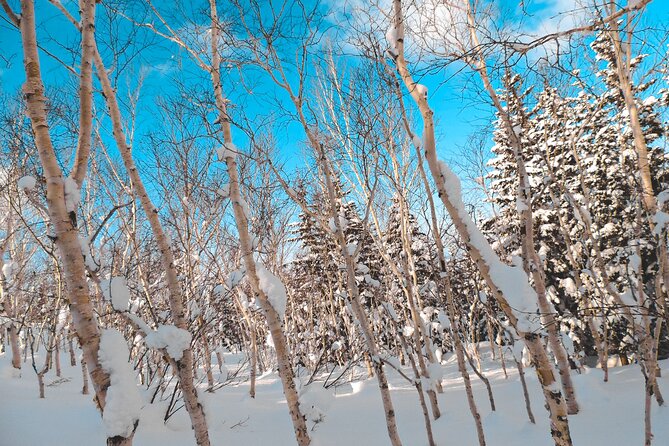 Snowshoe Adventures and Onsen Bliss Winter Escape in Furano - Health and Safety Considerations