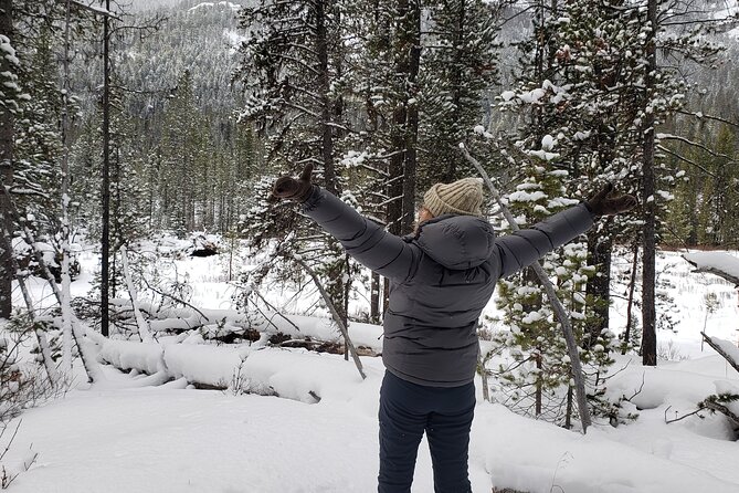Snowshoe or XC Ski in North Yellowstone (Half Day) - Schedule and Operating Dates