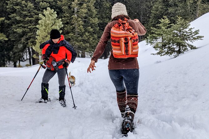 Snowshoe Tour Big Bear Lake With Hot Chocolate - Meeting Details and Transportation