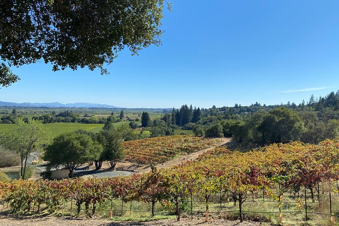 Sonoma Wine Rides: Sonoma County Join-In Group Wine Tasting Tours - Guest Feedback and Ratings