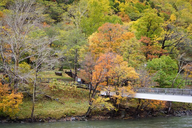Sounkyo Gorge Autumn Leaves Ice Pavilion Day Tour by Private Car - Experiencing the Private Car Tour
