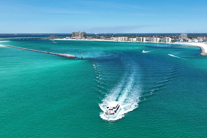 Southern Star Dolphin Cruise - Customer Reviews and Ratings