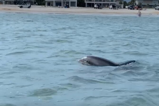 St. Augustine Private Day or Sunset Boat Tour, 6 Passengers Max - Accessibility and Participation Guidelines