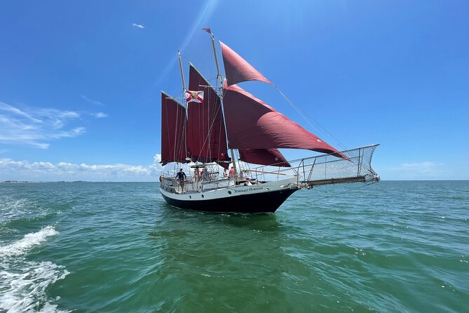 Suncoast Sailings Day Sailing Experience! - Customer Feedback on the Experience