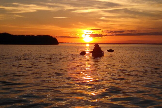 Sunset Bioluminescence Tour - Kayak Equipment and Gear