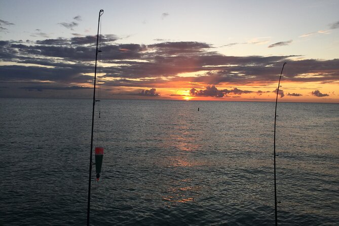 Sunset Boat Tour Around Anna Maria Island - Scenic Highlights and Natural Beauty
