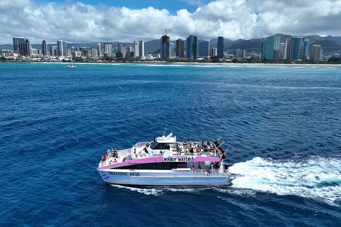 Sunset Cruise & Whale Watching From Oahu - Booking and Cancellation Policy