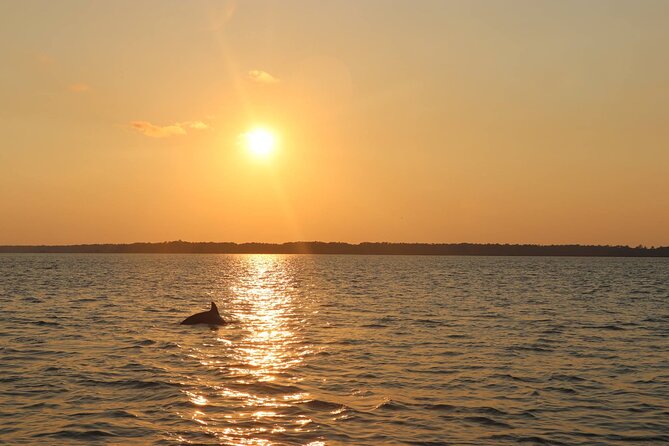 Sunset Dolphin Cruise in Hilton Head - Meeting and Pickup Information
