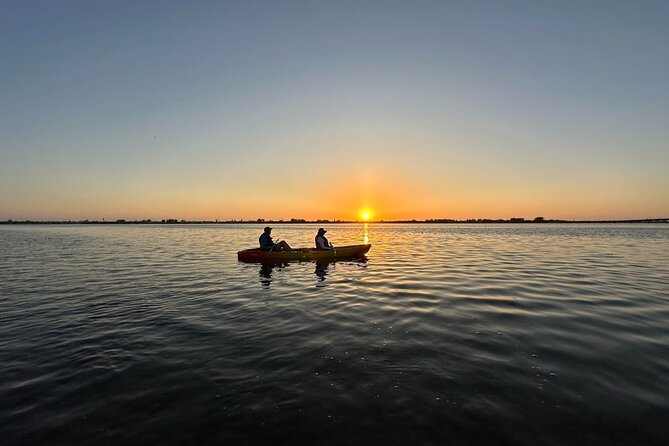Sunset Kayaking With Dolphins - Customer Feedback