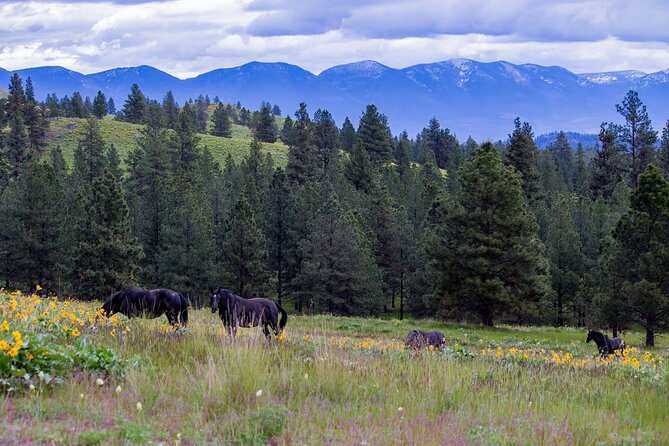 Sunset Wild Horse Island Private Boat Tour - Booking and Cancellation Policy