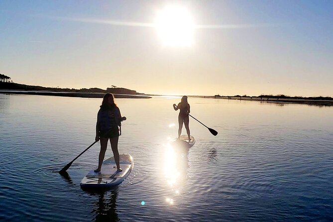 SUP (Stand-Up Paddboard) Salt Marsh Maze Tour - Experience and Reviews