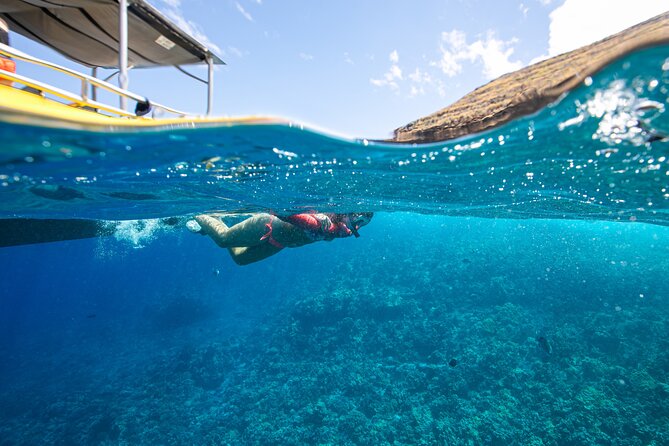 Super Raft - Private Charter Maui 3 Hour Snorkel to Coral Gardens or Molokini - Reviews and Ratings