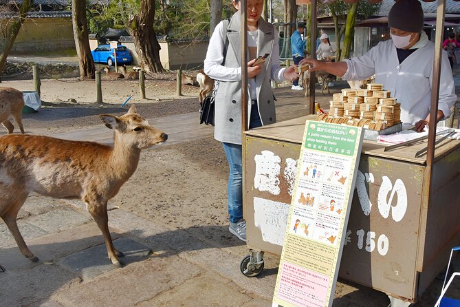 Taste of Nara A Guided Half Day Food Tour Tailored to Your Taste - Participation Details