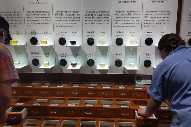 Tea Museum, Shizuoka and Guinness World Records Bridge V-G - Schedule and Availability