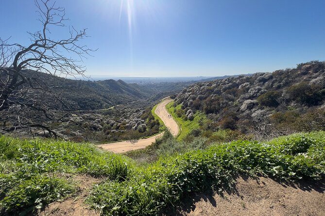 The Premier Hollywood Sign Tour: Nature in the Heart of the City - Physical Requirements and Accessibility