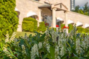 The Royal Picardie - Special Offers and Packages