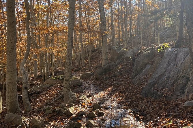 The Way Life Should Be: 4-hr, Private Guided Tour of Acadia NP. - Meeting and Pickup Details