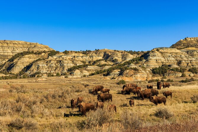 Theodore Roosevelt National Park Self-Guided Driving Audio Tour - Exploring the Parks Highlights