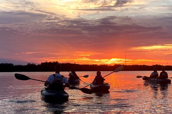 Thousand Islands Mangrove Tunnel & Bio Comb Jelly Sunset Tour - Customer Feedback