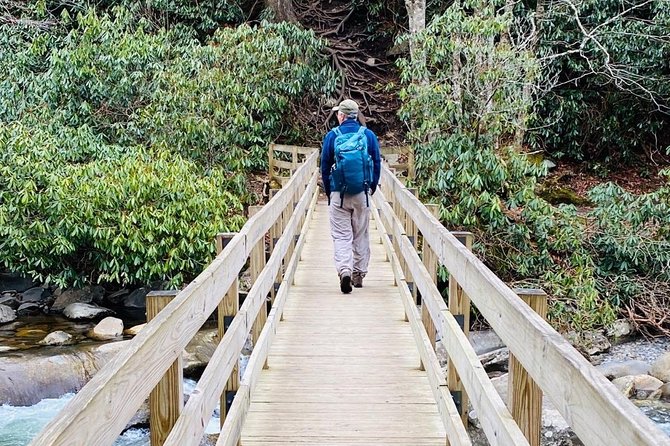 Thundering Streams and Falls of the Smokies Guided Hiking Tour - Navigating the Great Smoky Mountains