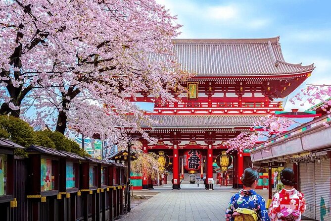 Tokyo 10 Hour Customizable Private Tour - Tour Structure