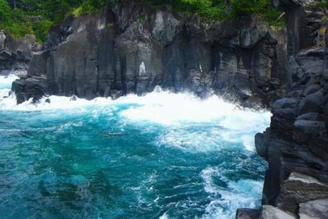 Tokyo Day Trip to Izu and Shimoda - Exploring Shimoda and Its Beaches