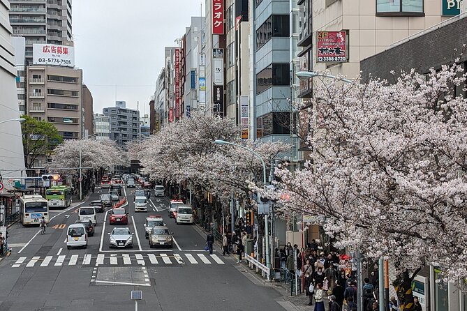 Tokyo Experience Local Life Tour & Calligraphy - Calligraphy Workshop