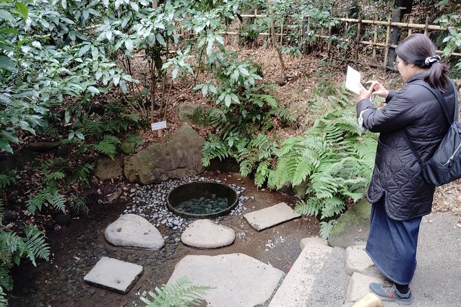 Tokyo: Meiji Jingu Shrine & Inner Garden Private Tour (2h) - Accessibility and Recommendations