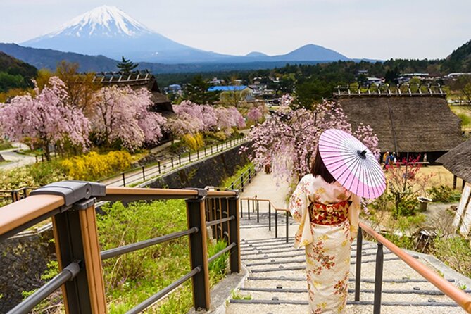 Tokyo: Mt. Fuji and Lake Kawaguchi 1-Day Luxury Bus Tour - Important Information