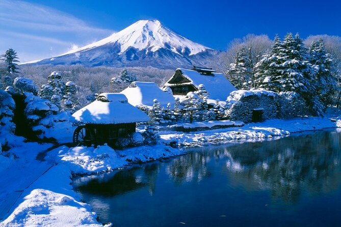 Tokyo Mt. Fuji Hakone Shrine, Owakudani, Lake Yamanakai Day Tour - Highlights of the Tour