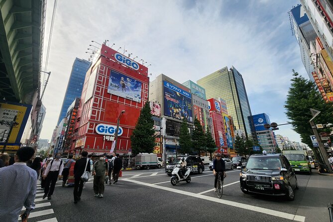 Tokyo Private City Tour - Highlights of the Tokyo Private City Tour