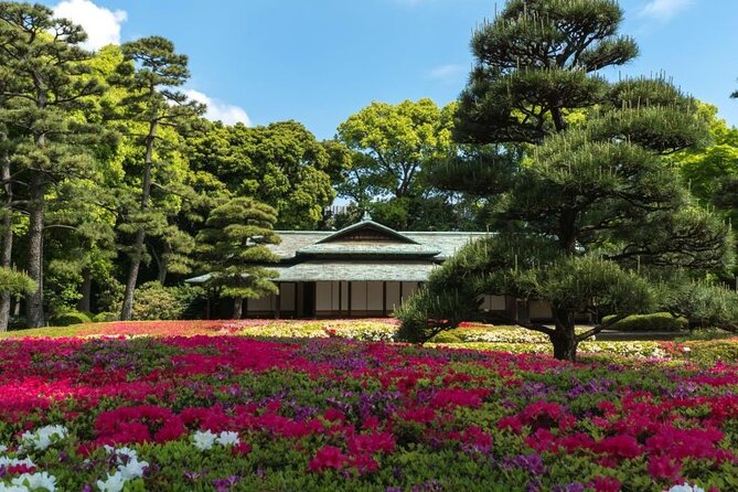 Tokyo Private Customizable Day Tour With English Speaking Driver - Booking Details