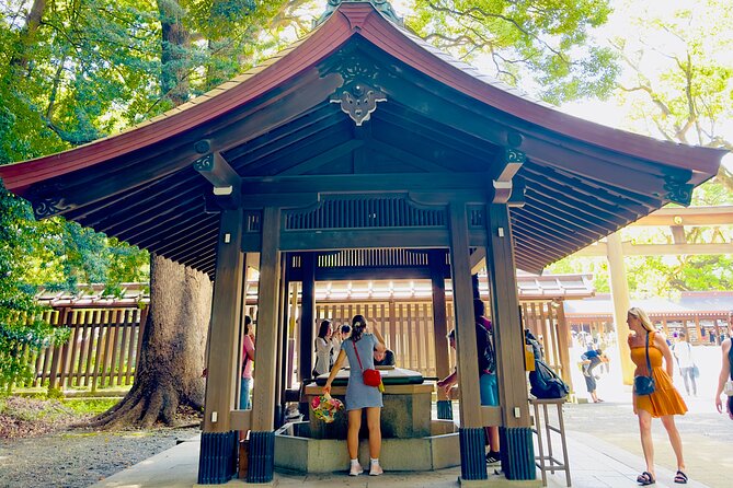Tokyo Private Tour With English Speaking Driver - Accessibility and Participation