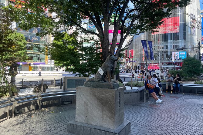 Tokyo Shibuya and Highlights Private Running Tour - Participation Requirements