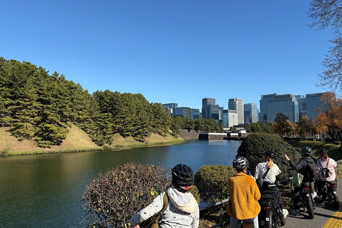 Tokyo Tower Area E-Bike Tour: Highlights and Hidden Gems - Unearthing Hidden Shrines and Temples