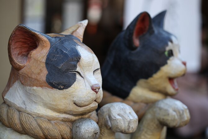 Tokyo Walking Tour of Historic Shopping Streets Yanaka - Navigating the Museum Guidelines